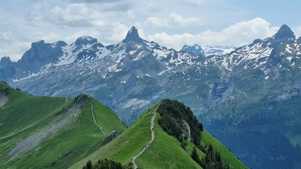 Blick
