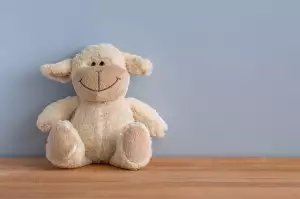 Teddy Kabát